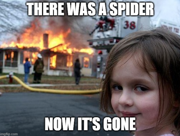 spider meme