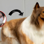 Japanese man dog costume