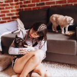 make your home pet-friendly
