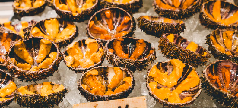 uni soft part of sea urchin