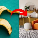 Banana Peels for Plants