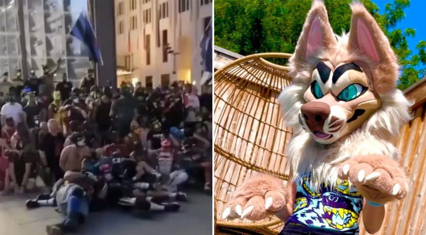 Furries and Therians - Are people really identifying as cats