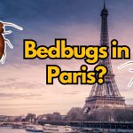 bedbugs in paris