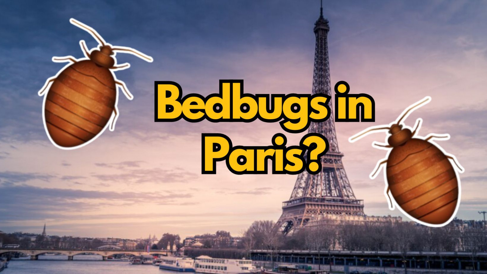 bedbugs in paris
