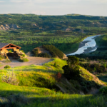 gen z want simple life