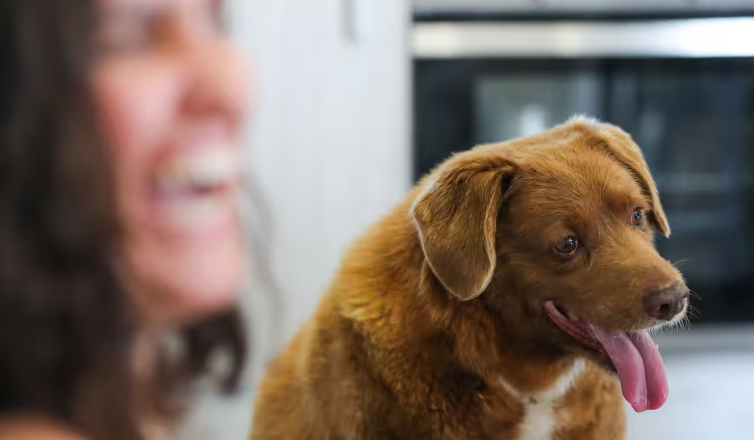 World's oldest dog