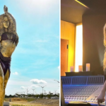 shakira statue