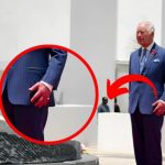 king charles sausage fingers