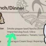 Airline serves dog food