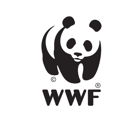 giant panda logo