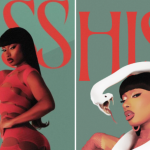 Megan Thee Stallion Hiss