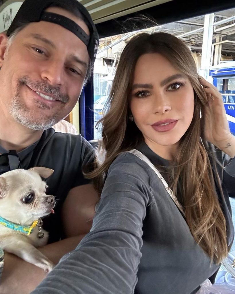 Sofia Vergara Divorce