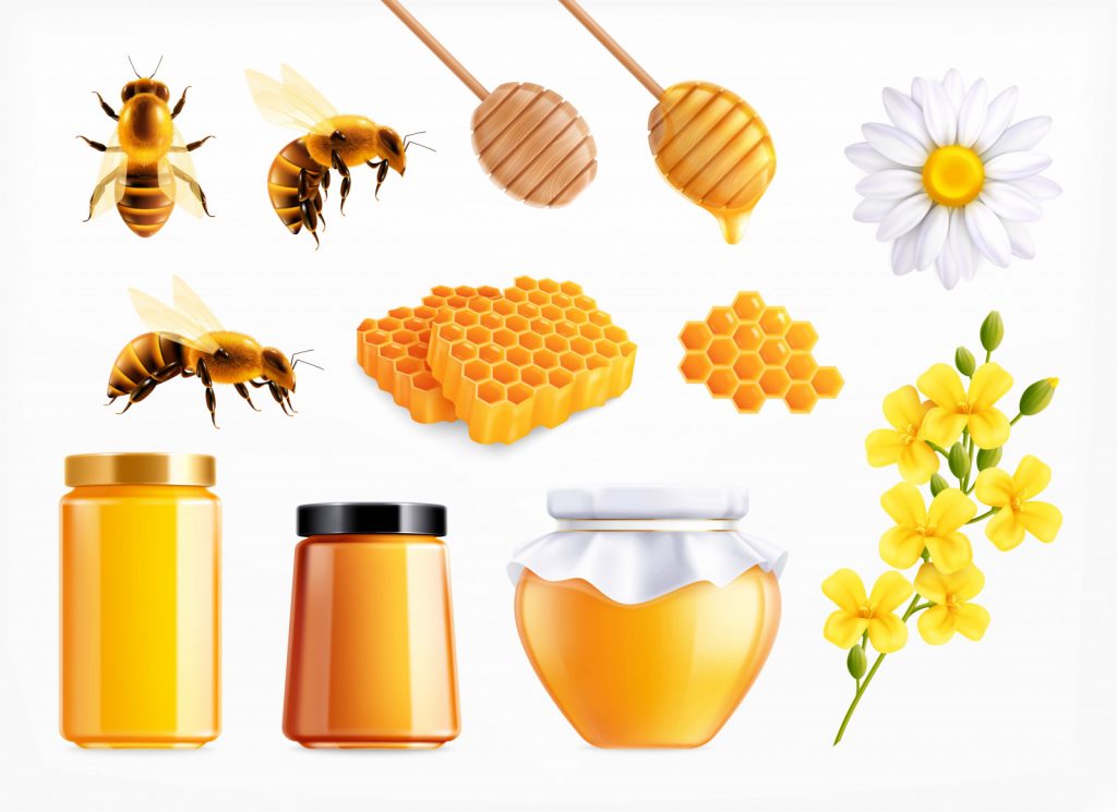 Honey Bees
