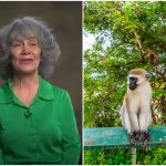 Women raised by monkeys