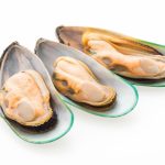 Risks of raw oysters