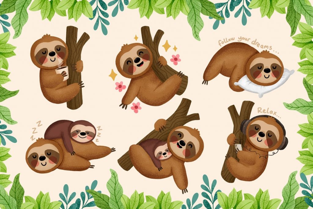 Sloths move slowly