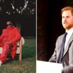 Prince Harry P Diddy Lawsuit