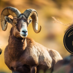 capricorn zodiac sign