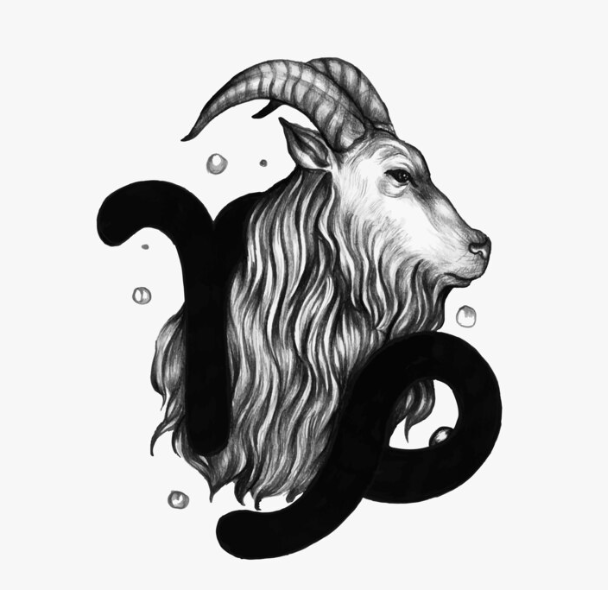 Capricorn Zodiac Sign