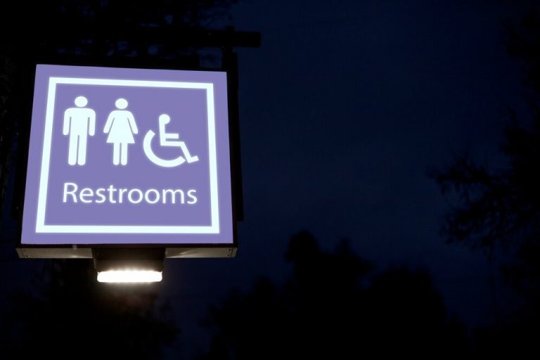 Why Is a Urinal Fly in the Men’s Bathroom? The HyperHive