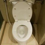 China urine Analysis toilet