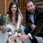 penguin ring-bearer