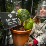 world's most dangerous plant