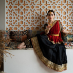 Traditional Indian Sari