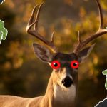 zombie deer disease