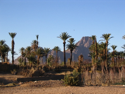 world's largest desert