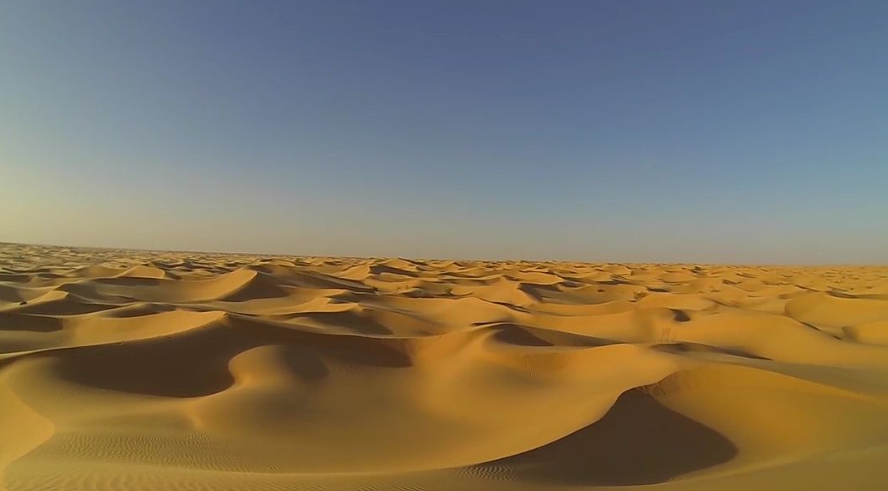 world's largest desert