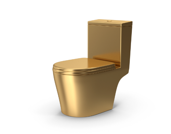 Golden toilet theft