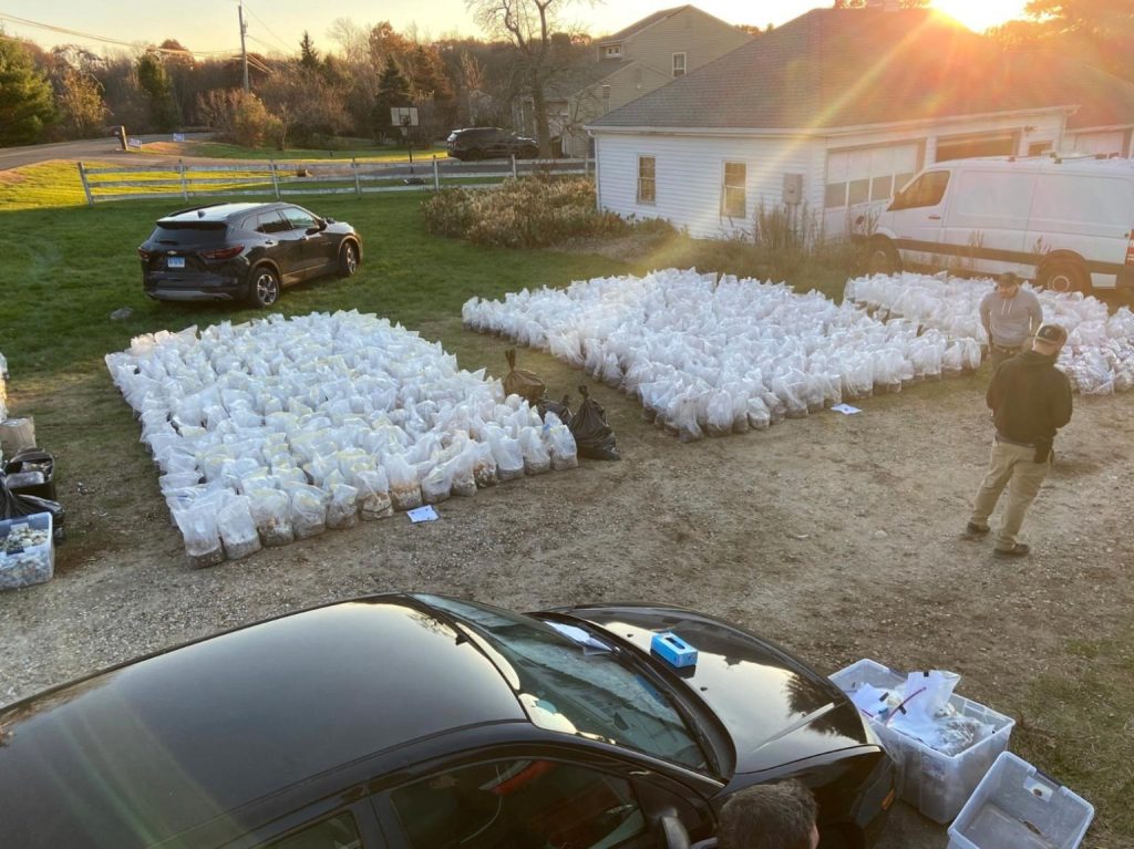 Connecticut drug bust $8.5 million
