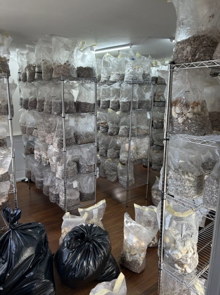 Connecticut drug bust $8.5 million