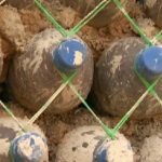 Nigerians Earthquake-proof homes