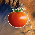 tomato in space
