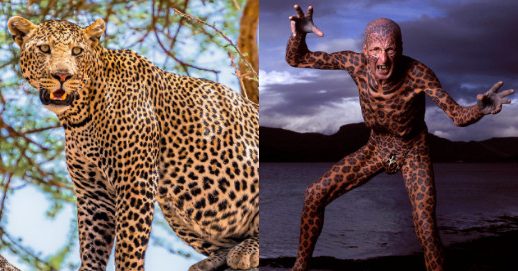 Leopard man