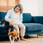 $2.8M inheritance to Pets