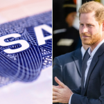 Prince Harry's Visa Records
