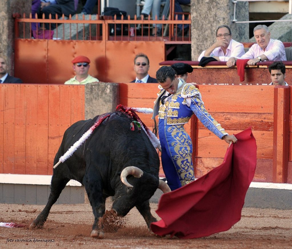 Iván Fandiño final words