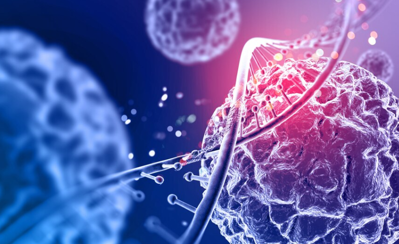 stem cells