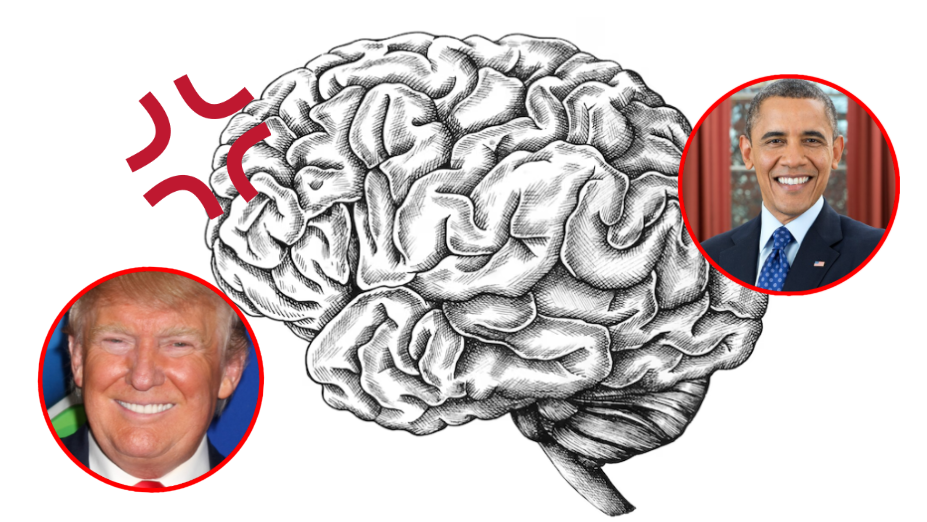 brain