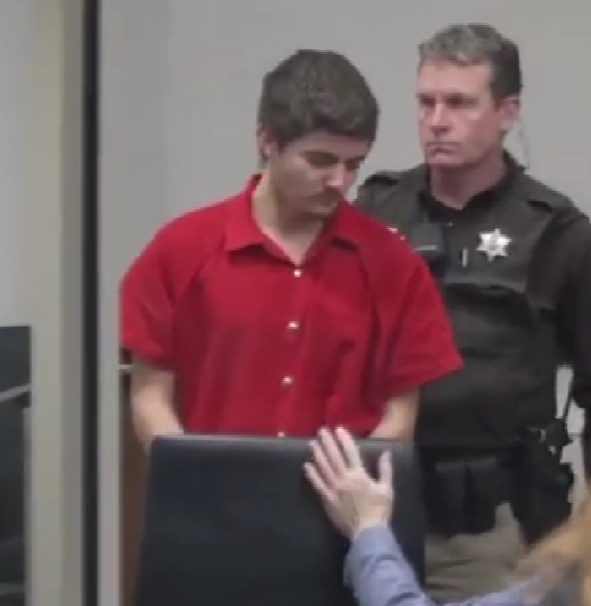 Wisconsin Teen Plot