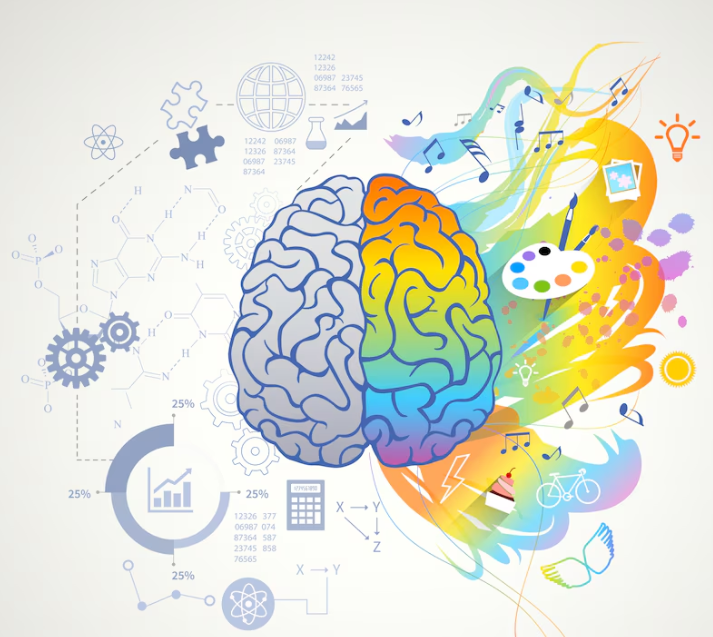 brain