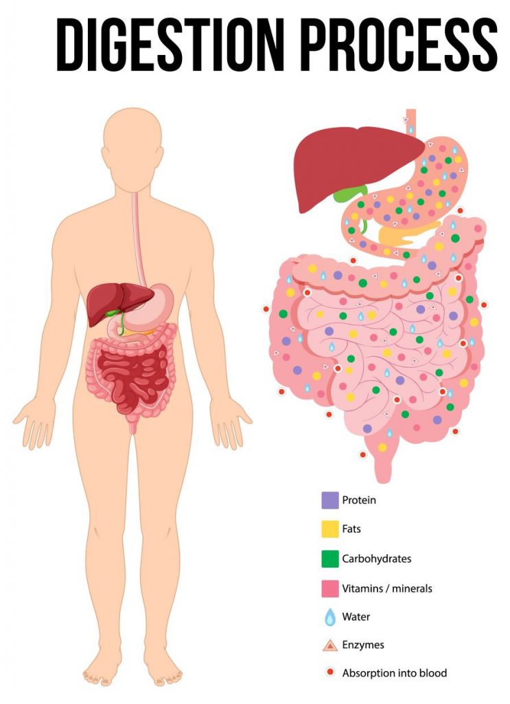 Fart Walk Benefits