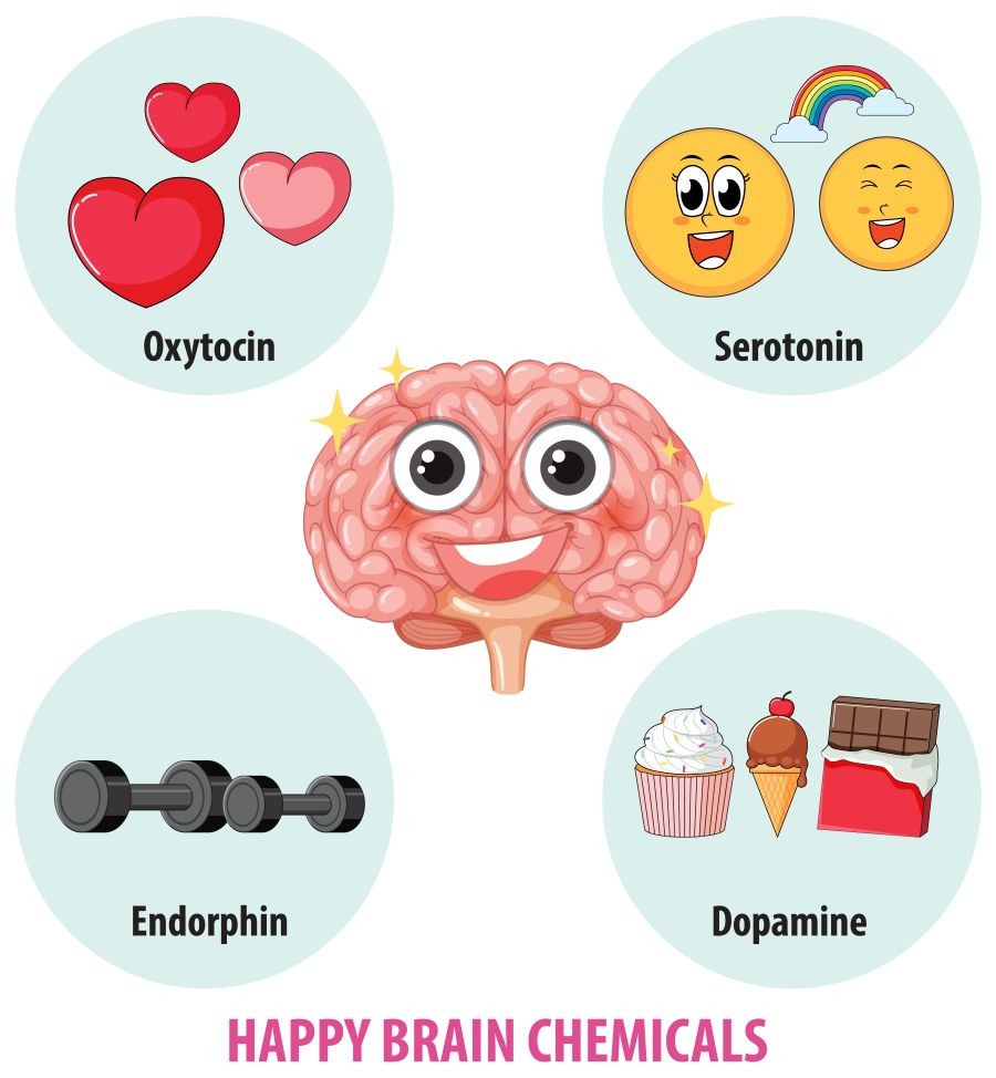 Dopamine Detox Myths