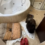 Children Rescued from COVID Lockdown