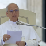 Pope Leo XIV's Ukraine peace talks