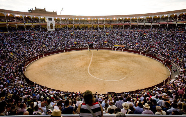 Mexico City Bullfighting Ban