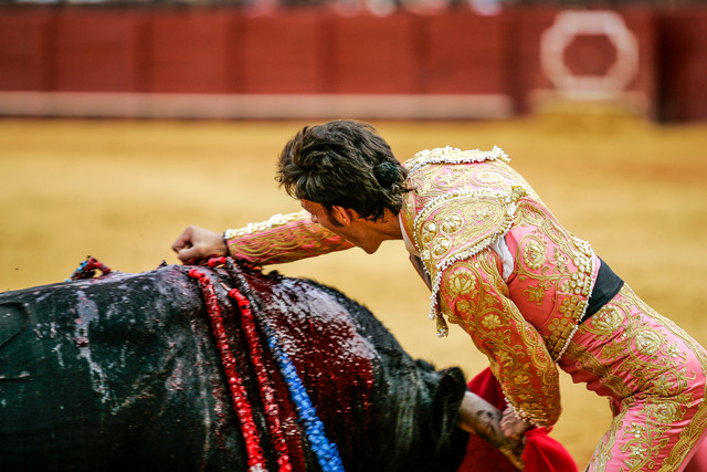 Mexico City Bullfighting Ban